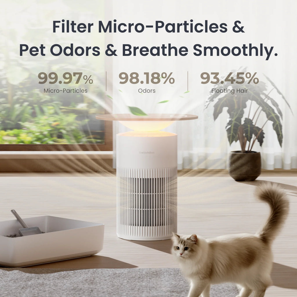 Air Purifier Table
